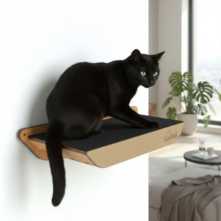 Gatitud Store modern wall-mounted cat perch made of natural wood with black felt surface. A black cat sits on the shelf.