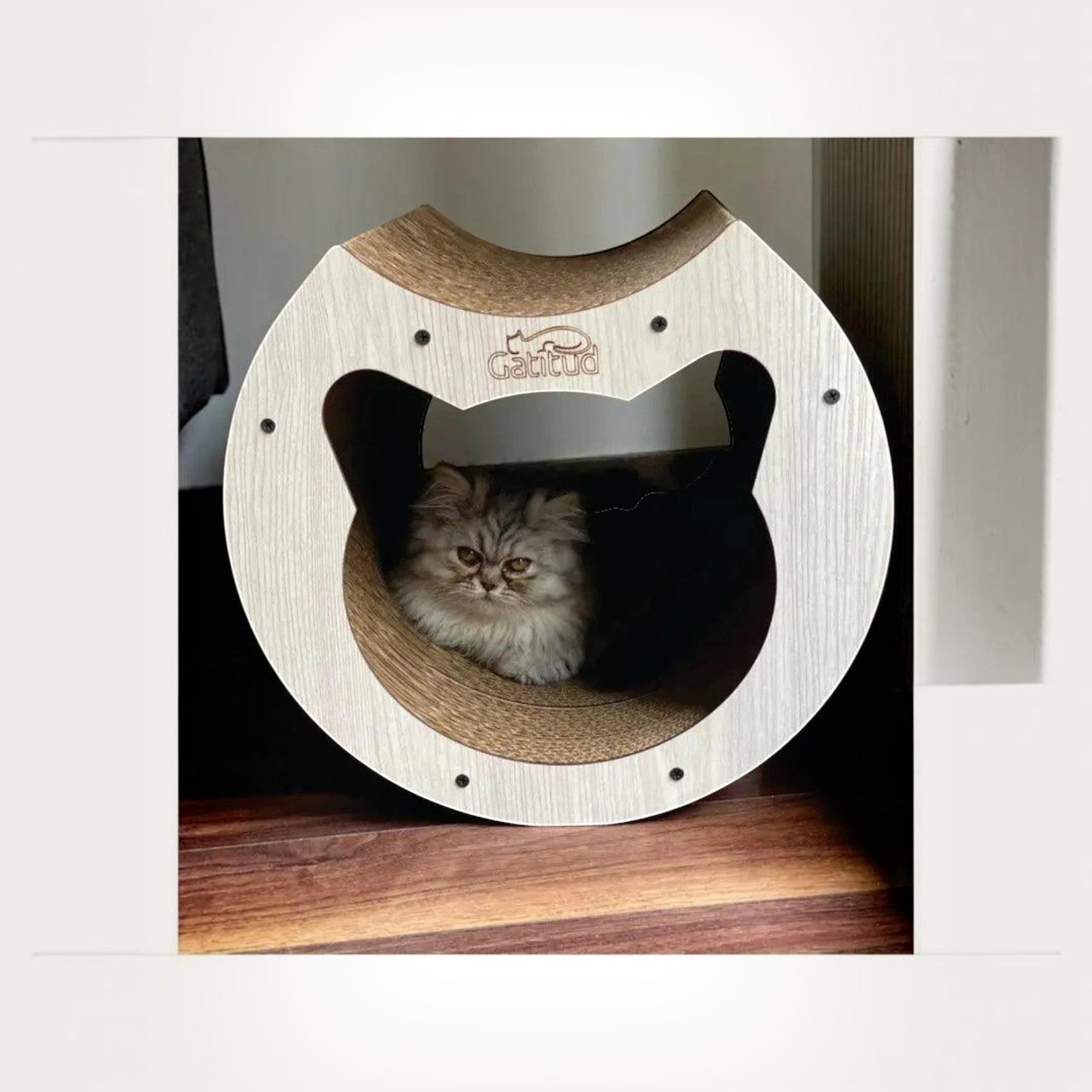Rascador Túnel para Gatos Grande — Cartón Corrugado Ecológico — Juguete | Gatitud Colombia