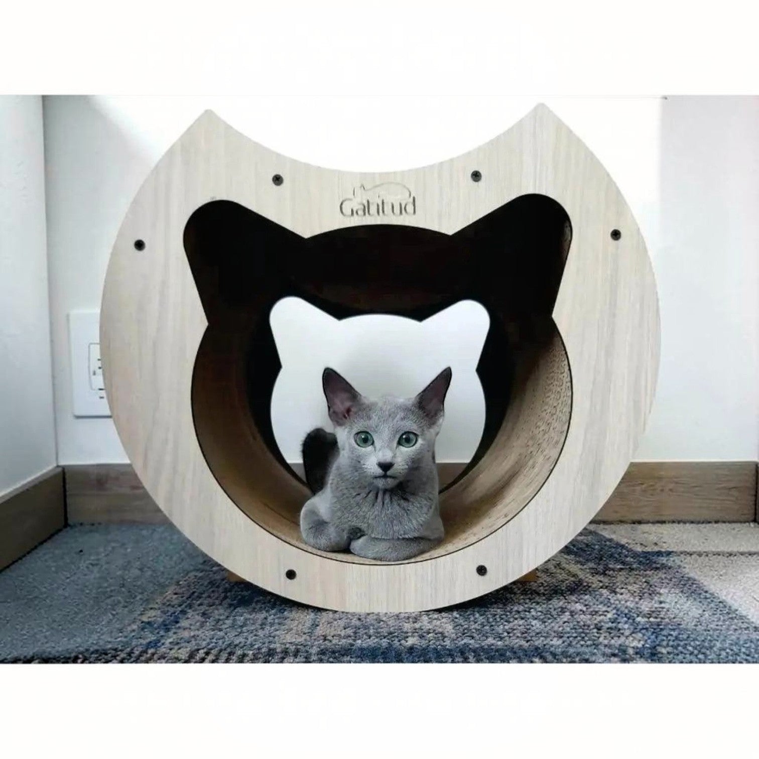 Rascador Túnel para Gatos Grande — Cartón Corrugado Ecológico — Interior | Gatitud Colombia