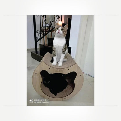 Rascador Túnel para Gatos Grande — Cartón Corrugado Ecológico — El Rascador TÚNEL Grande de Gatitud está… | Gatitud Colombia