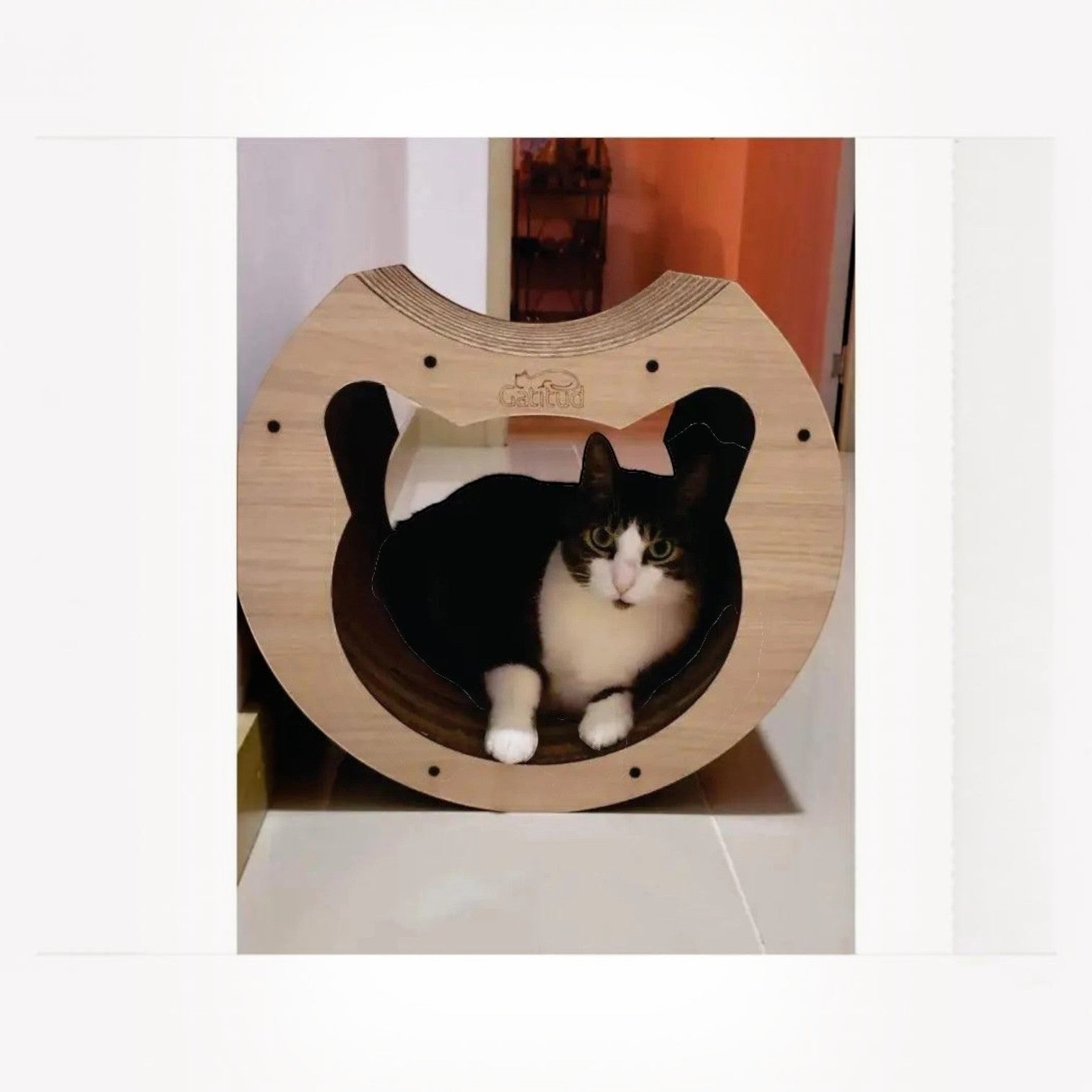Rascador Túnel para Gatos Grande — Cartón Corrugado Ecológico — ¿En qué se diferencia el TÚNEL Grande del… | Gatitud Colombia