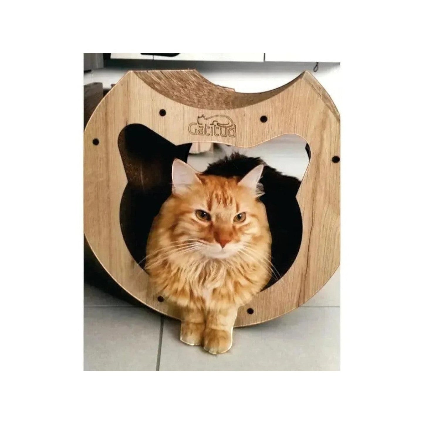 Rascador Túnel para Gatos Mediano — Cartón Corrugado — Interior — Cartón corrugado | Gatitud Colombia