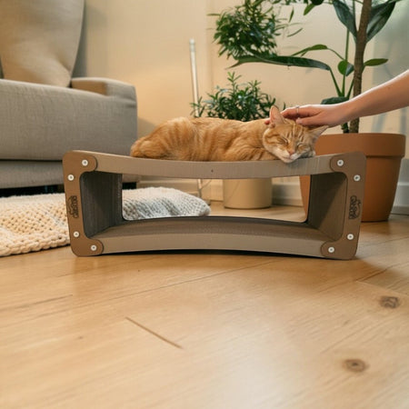 Gatitud Store curved beige corrugated cardboard cat scratcher lounge with an orange tabby cat resting on top.