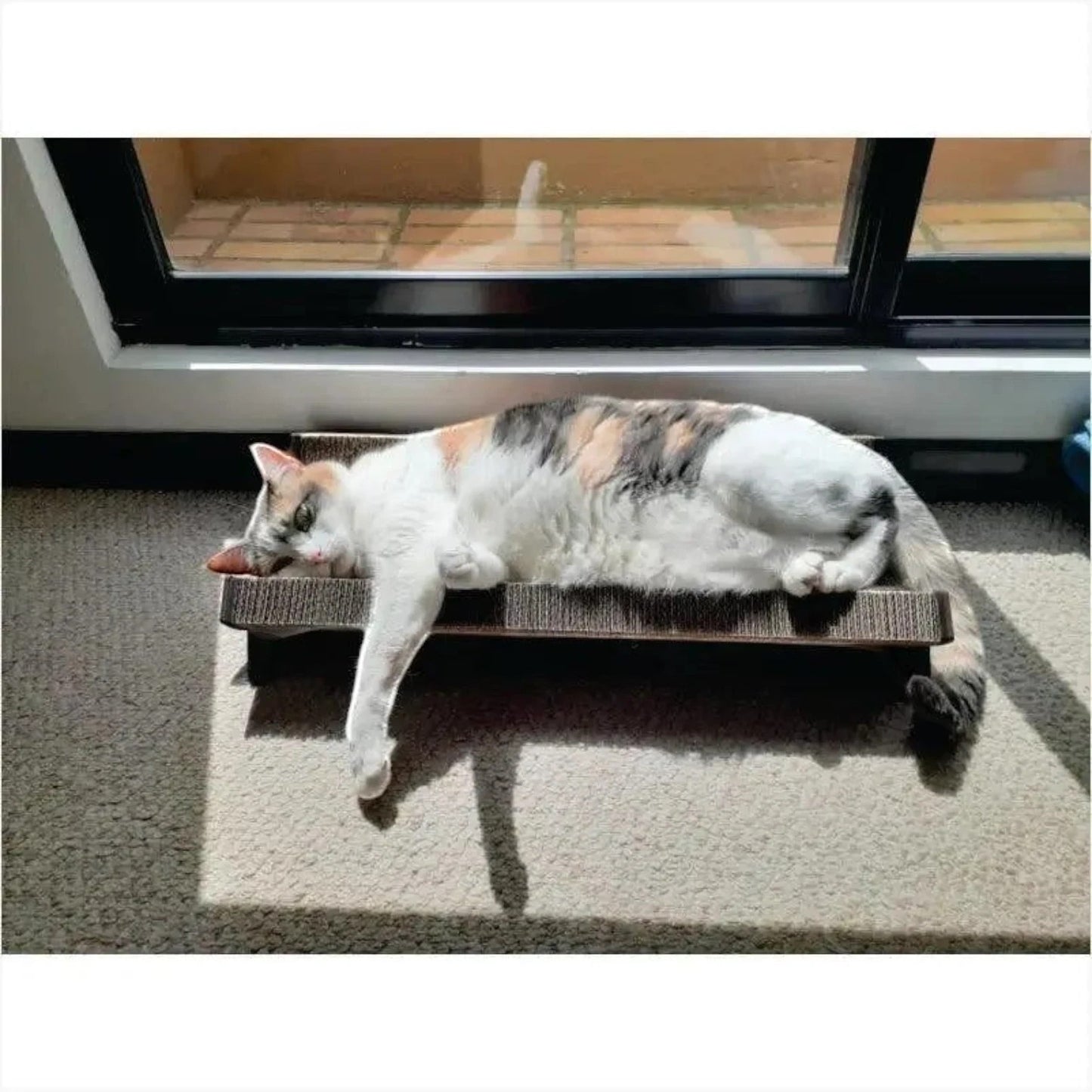 Rascador CUENCA para Gatos en Cartón Corrugado — Diseño Ergonómico — Ergonómico | Gatitud Colombia