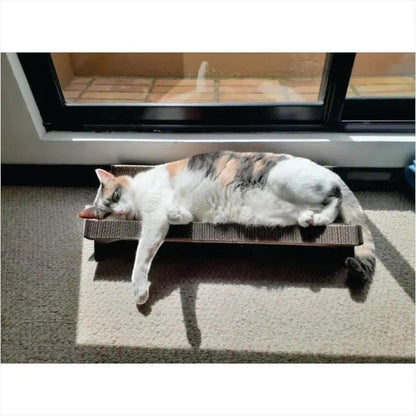 Rascador CUENCA para Gatos en Cartón Corrugado — Diseño Ergonómico — Ergonómico | Gatitud Colombia