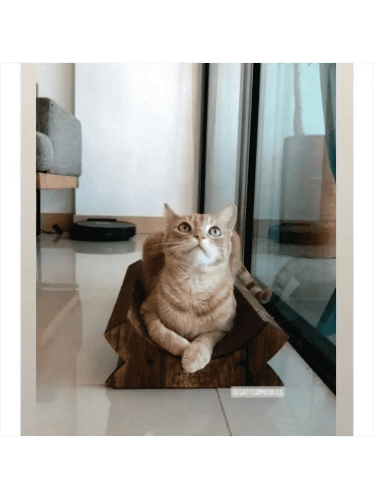 Gatitud Store orange tabby cat lounging in a curved corrugated cardboard scratching lounge.