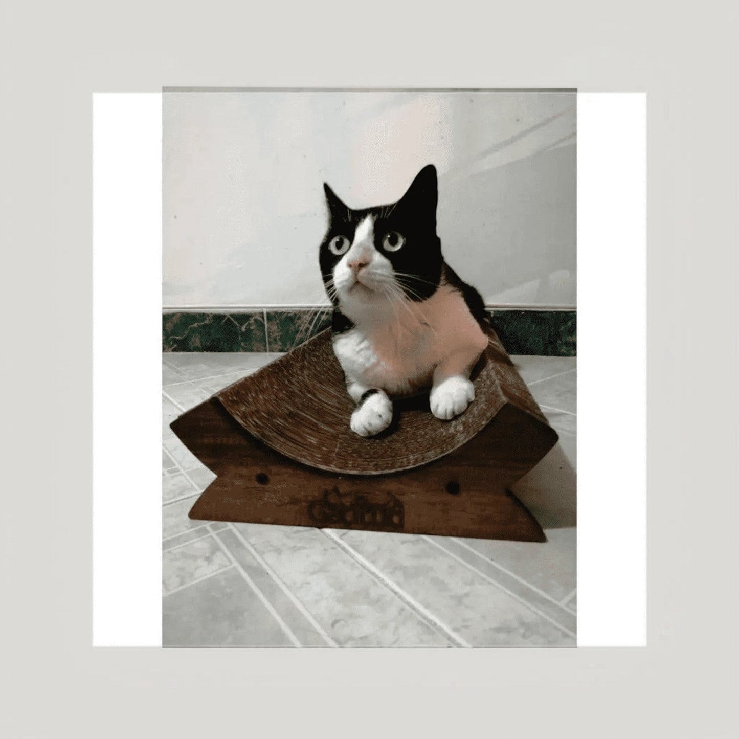 Rascador Cuenca x2 para Gatos — Cartón Corrugado Colombia — Juguete | Gatitud Colombia