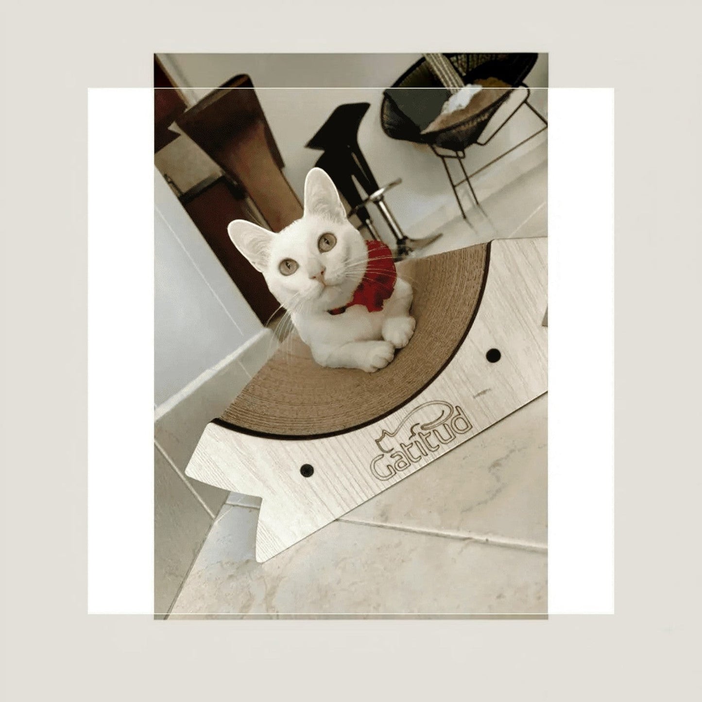 Rascador Cuenca x2 para Gatos — Cartón Corrugado Colombia — Ergonómico | Gatitud Colombia