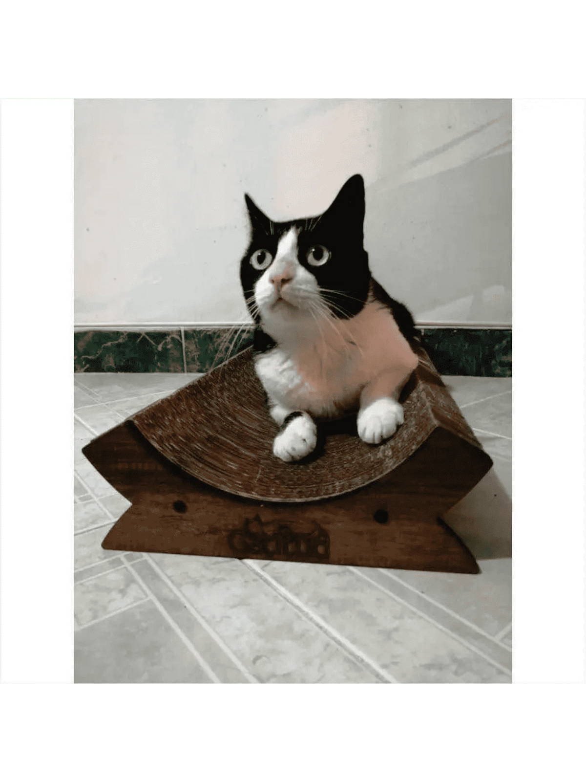 Gatitud Store black and white cat lounging on a curved corrugated cardboard scratching lounge.