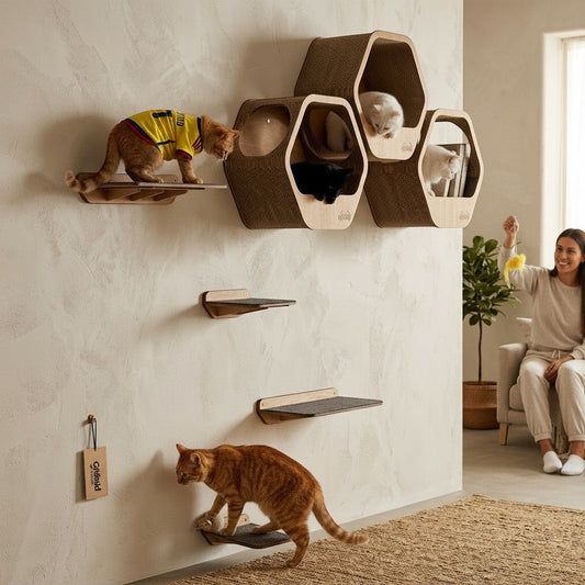 Gimnasio de pared Gatitud Store para gatos con repisas hexagonales y plataformas de madera MDF en sala de estar