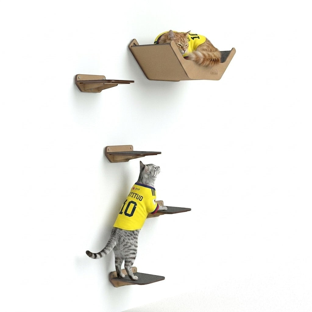 Gimnasio de pared Gatitud Store para gatos con peldaños de madera MDF y hamaca elevada con gatos usando el circuito