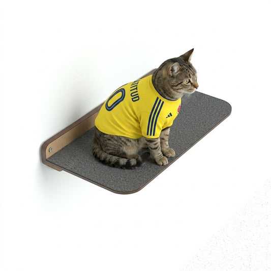 Gato atigrado con camiseta de fútbol sobre peldaño de pared grande Gatitud Store de madera y superficie gris