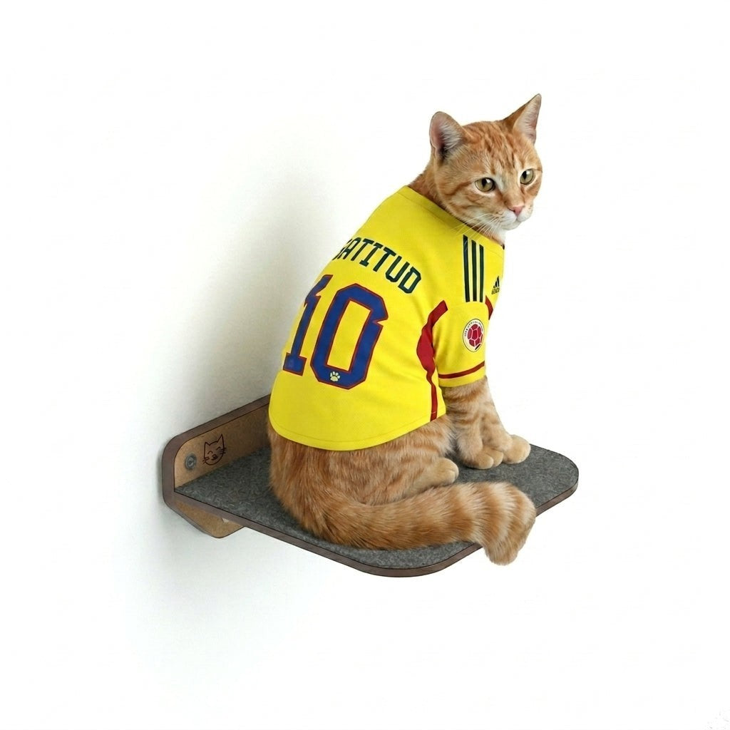 Gato atigrado con camiseta de fútbol sobre peldaño de pared Gatitud Store de madera MDF y superficie gris