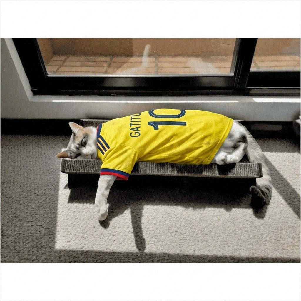 Gatitud Store Rascador Cuenca x2 para gatos de cartón corrugado, forma cóncava, ideal como cama y rascador.