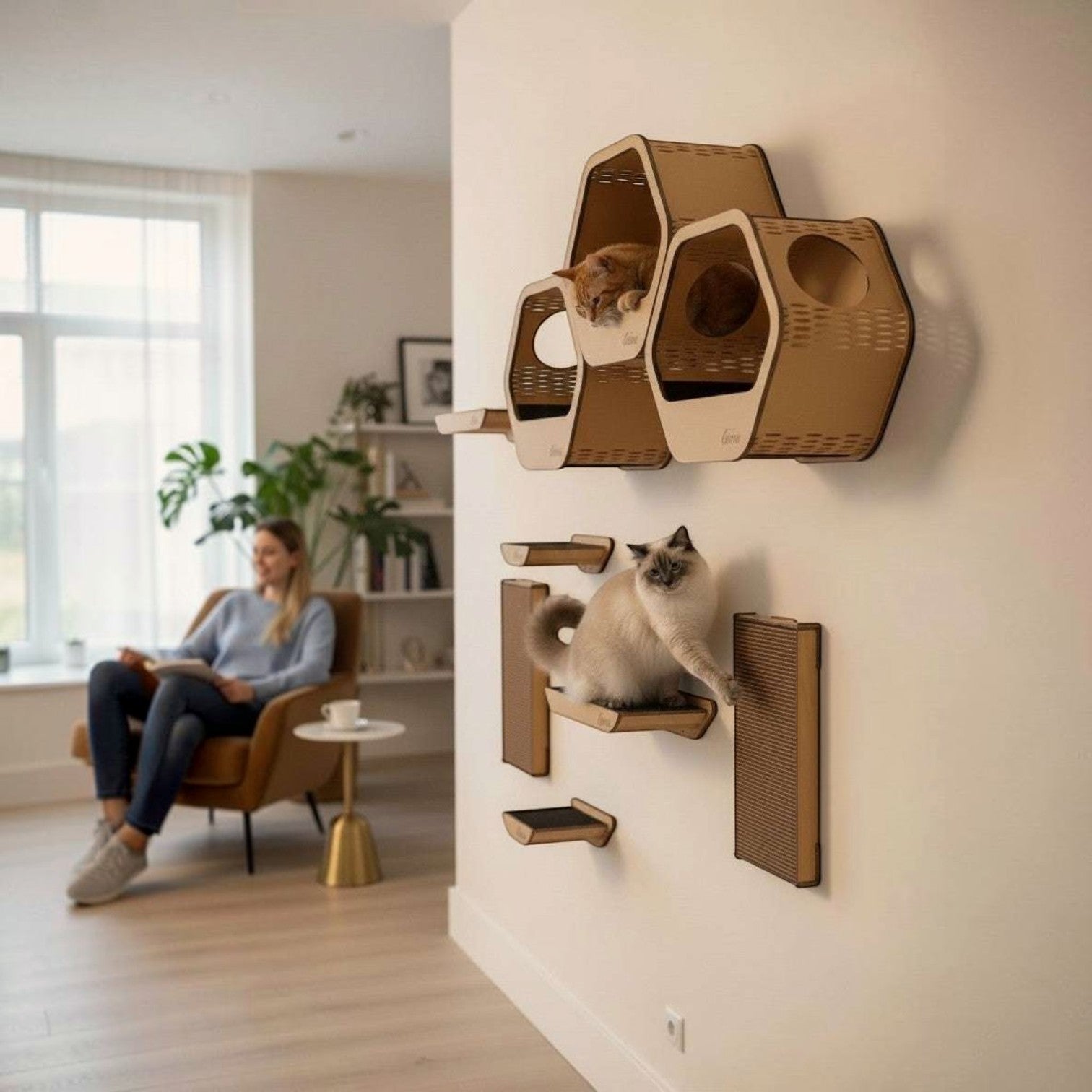 Gimnasio para Gatos de Pared COMBO C — Set Completo Madera MDF — Mdf | Gatitud Colombia