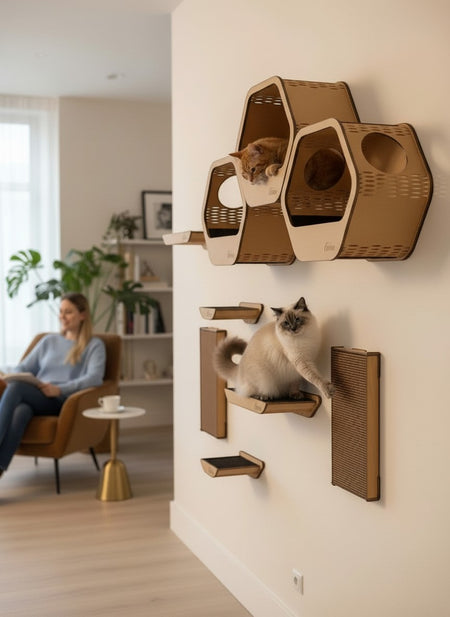 Gatitud Store wall-mounted cat gym with honeycomb shelves, perches, and scratching posts. Made of MDF.