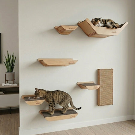 Gatitud Store wall-mounted cat gym with wooden shelves, scratching post, and feeding station. Features two cats enjoying the structure.
