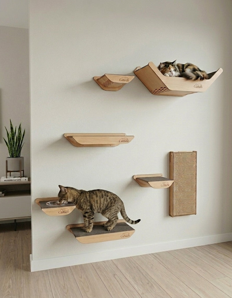 Gatitud Store wall-mounted cat gym with wooden shelves, scratching post, and feeding station. Features two cats enjoying the structure.