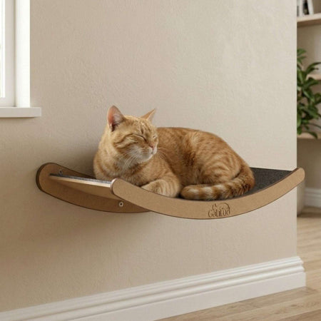 Gatitud Store wall-mounted cat perch with curved wood design and grey textured surface, featuring an orange tabby cat resting.