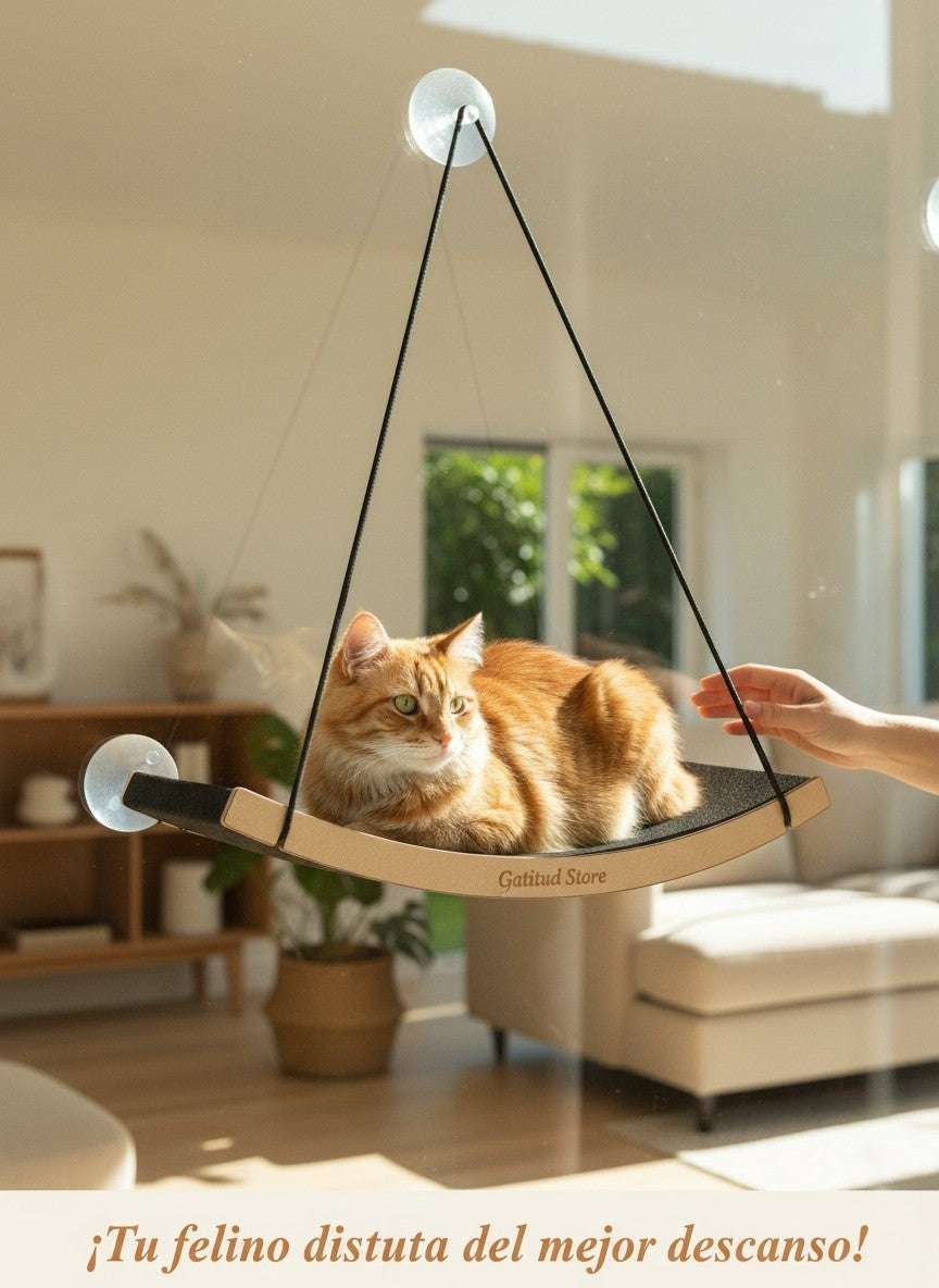 Gatitud Store window-mounted cat hammock with a ginger cat relaxing on it, featuring a wooden frame and black fabric.