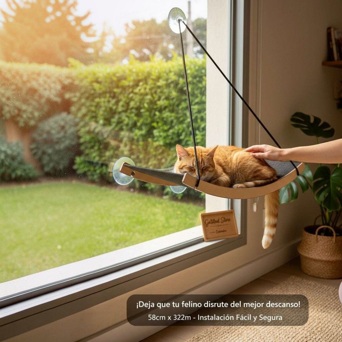 Cama Hamaca Grande para Gatos — Fijación a Vidrio Ventana — Cama | Gatitud Colombia