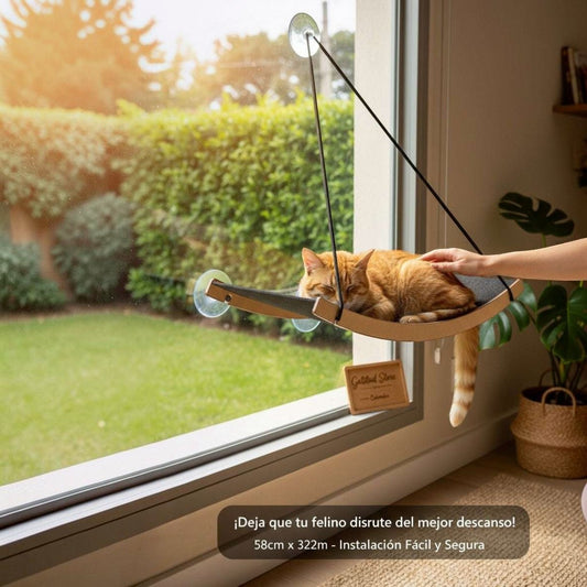 Cama Hamaca Grande para Gatos — Fijación a Vidrio Ventana — Cama | Gatitud Colombia