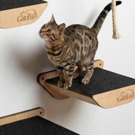 Gatitud Store natural wood cat perch with dark grey felt surface, mounted on a white wall.