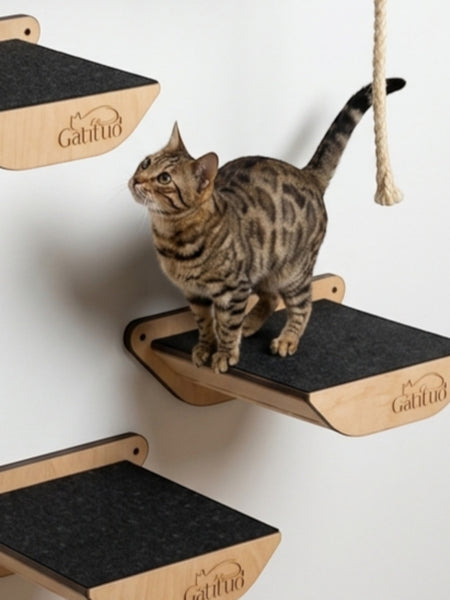 Gatitud Store natural wood cat perch with dark grey felt surface, mounted on a white wall.