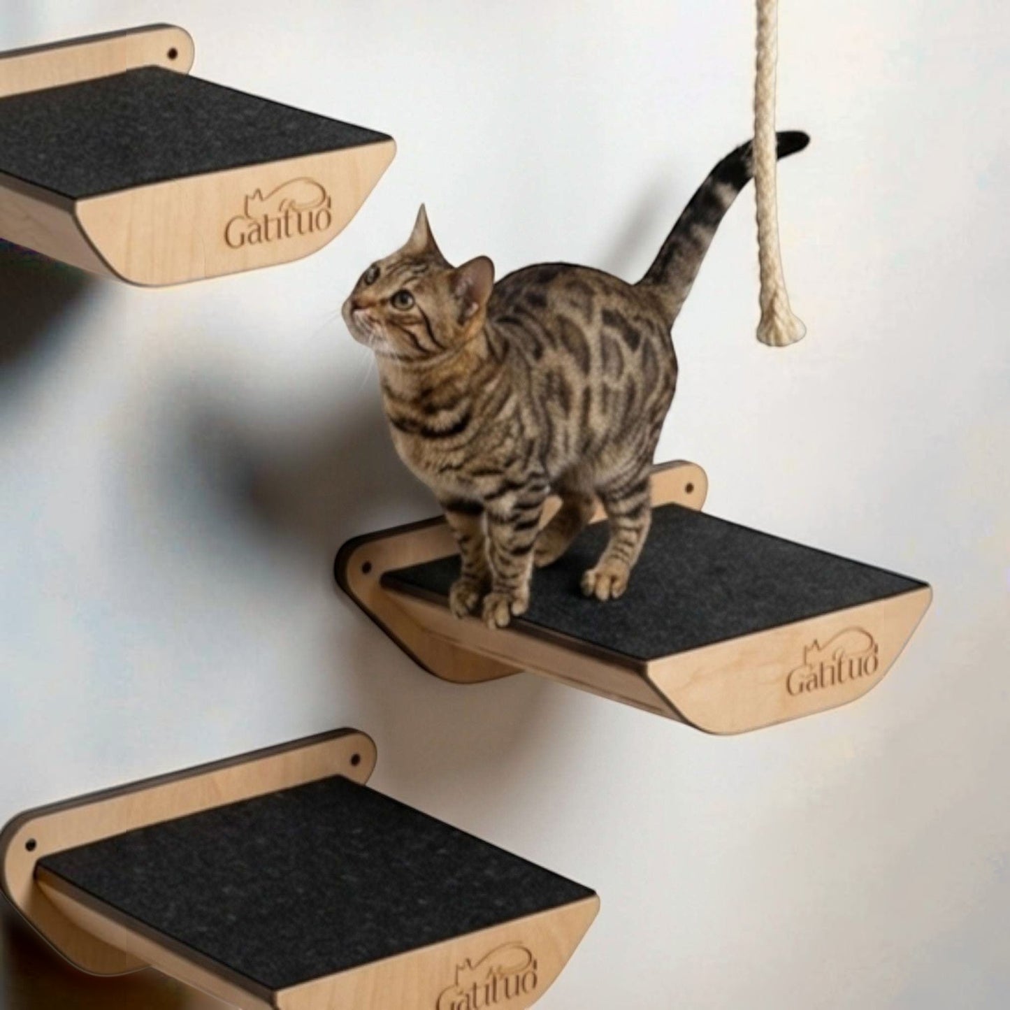 Peldáño Mediano Clásico — Accesorio Gimnasio para Gatos de Pared — Mdf | Gatitud Colombia