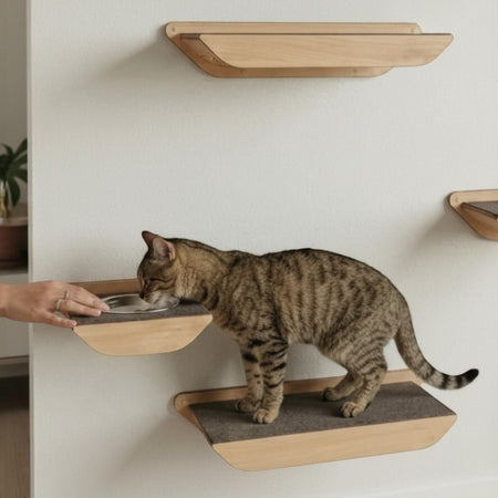 Gatitud Store wooden wall-mounted cat feeding station with grey felt insert, a cat is eating from the bowl.