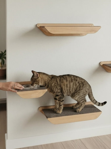 Gatitud Store wooden wall-mounted cat feeding station with grey felt insert, a cat is eating from the bowl.