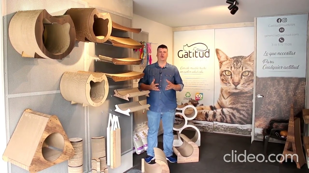 Cargar video: 