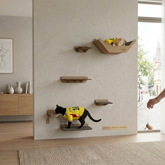 Gimnasio para Gatos de Pared COMBO B — Madera MDF Colombia