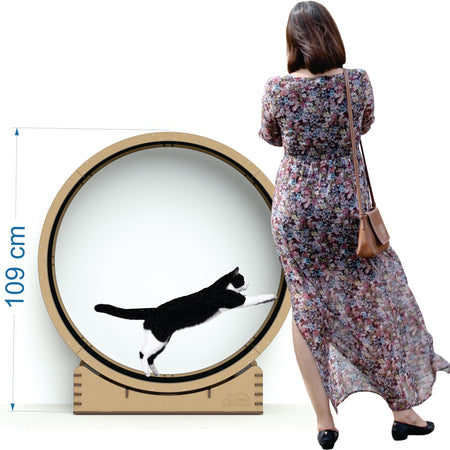 Rueda de ejercicio - Gatitud Store