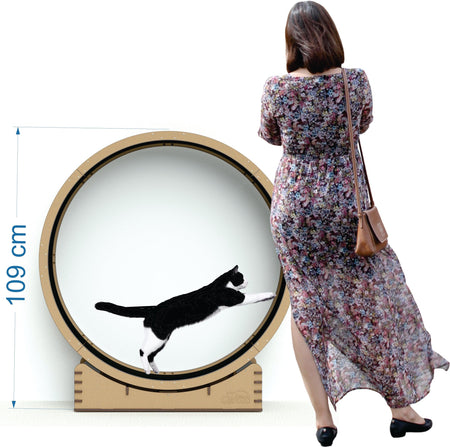 Rueda de ejercicio - Gatitud Store