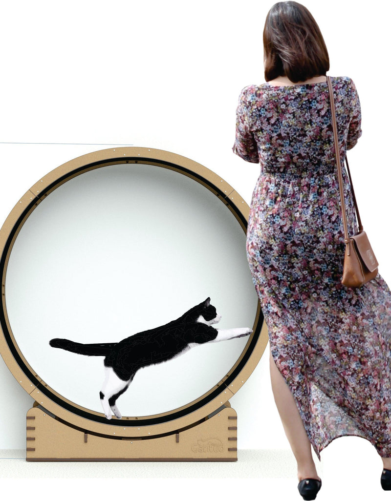 Rueda de ejercicio - Gatitud Store